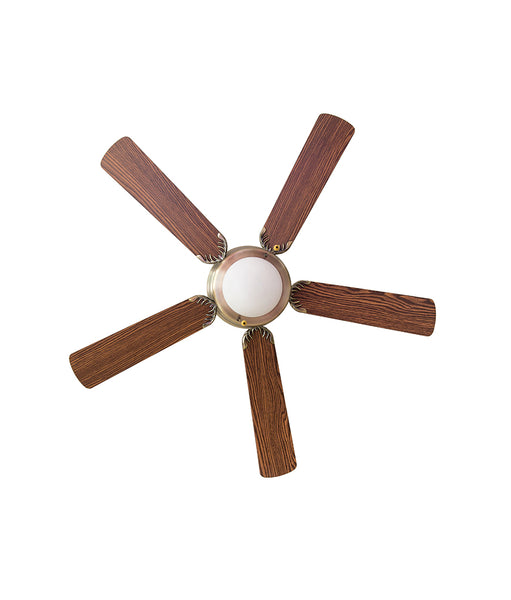 Blade single Light fan