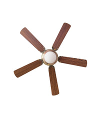 Blade single Light fan